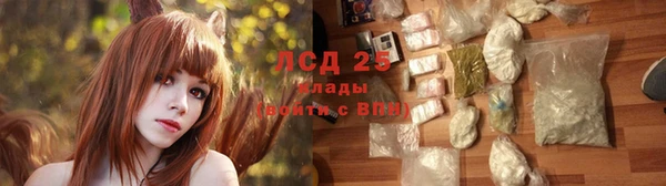 ПСИЛОЦИБИНОВЫЕ ГРИБЫ Медногорск
