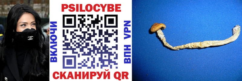 что такое наркотик Самара Псилоцибиновые грибы Cubensis