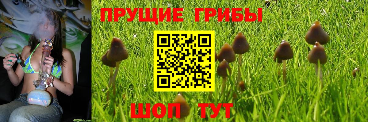 как найти закладки  Псилоцибиновые грибы прущие грибы  Вход с VPN  Самара 